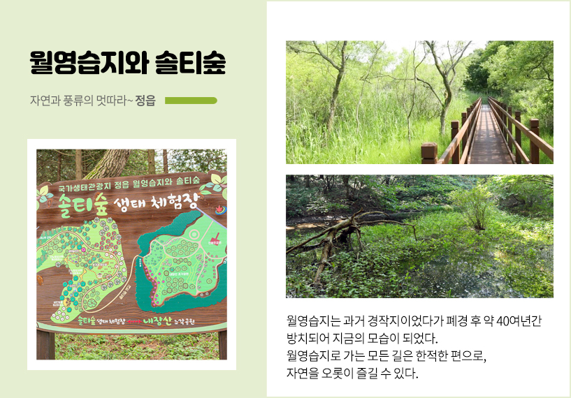사진설명 월영습지와 솔티숲 월영습지로 가는 길은 다양한데, 아직 사람들에게 많이 알려지지 않아 자연의 소리에 집중할 수 있다.월영습지로 가는 모든 길은 한적한 편으로, 자연을 오롯이 즐길 수 있다.